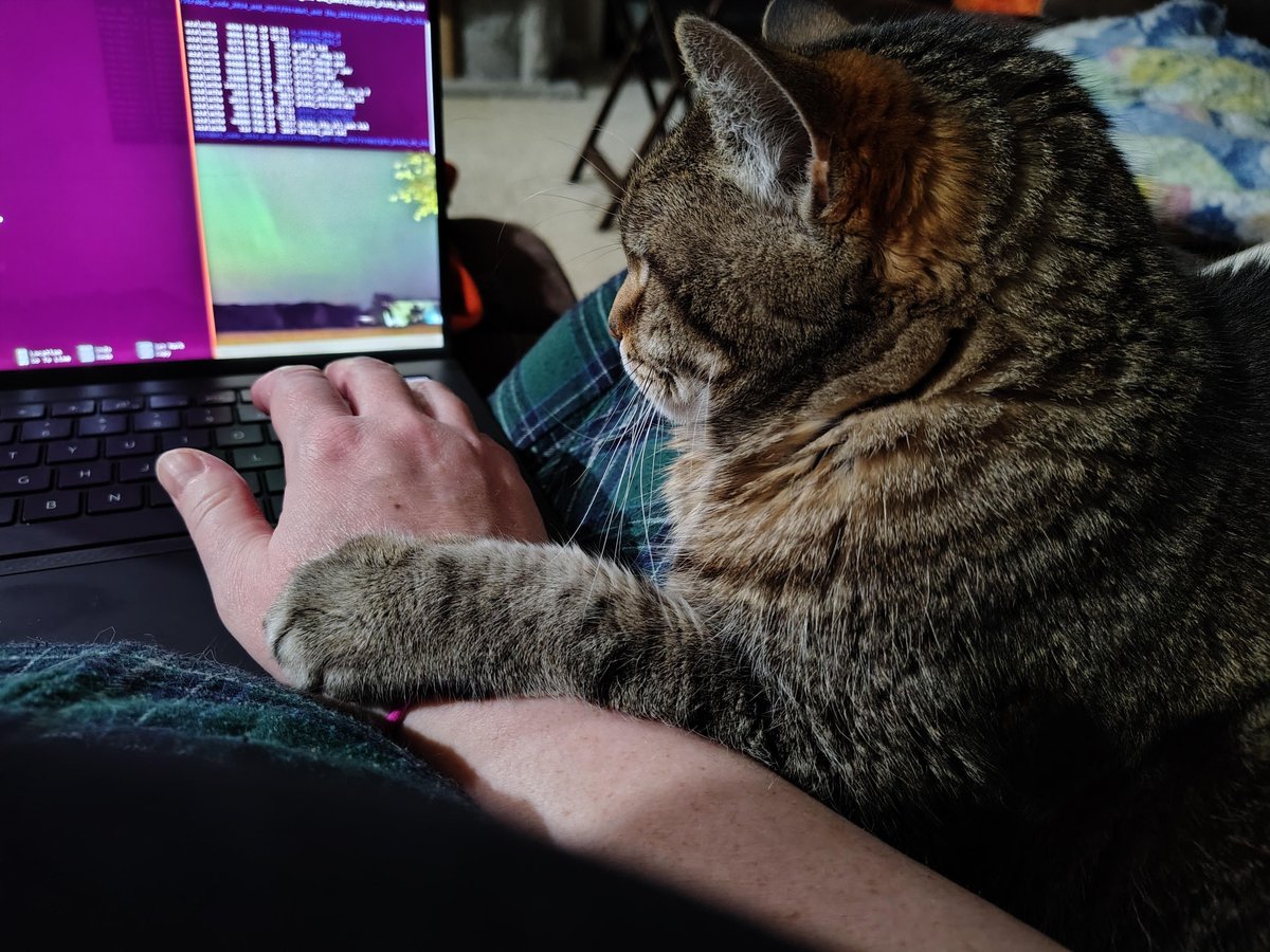 planetarysci's tweet photo. Happy Friday! 🪐 🐾 

This week’s #PlanetaryPet is 15-year-old Motorboat, the feline research assistant of Angela Zalucha. Angela rescued the kitty (just 8 weeks old) from a shelter. Angela says that the name was selected because of the kitty’s loud, long-lasting purring. https://t.co/J4Jenw94RC