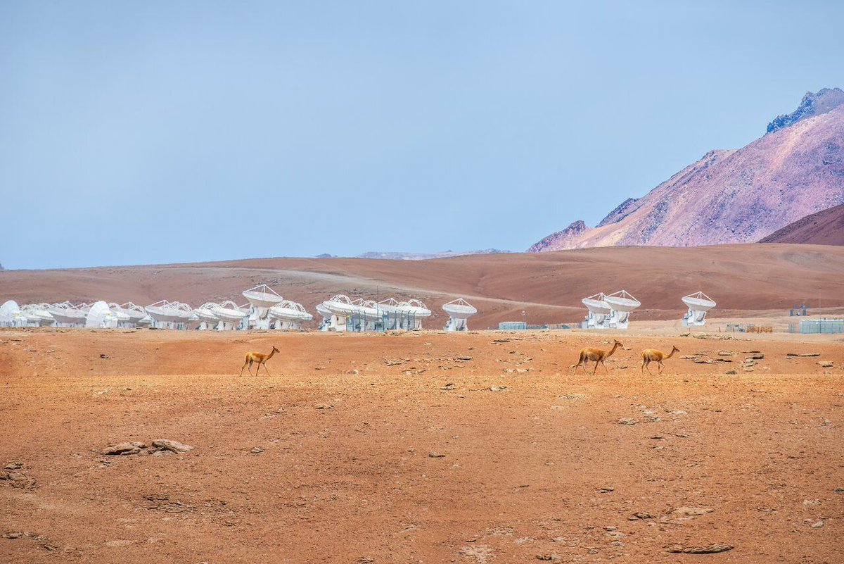The SETI Institute tweet media