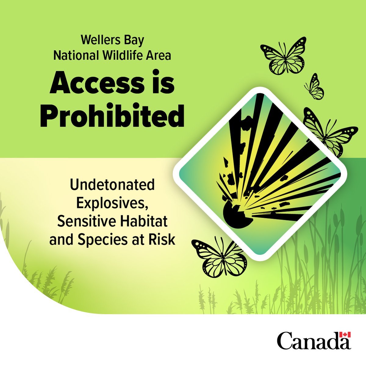 Environment Canada tweet media