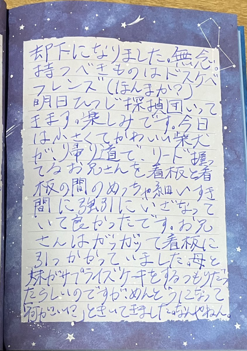 むらさきいぬ tweet media