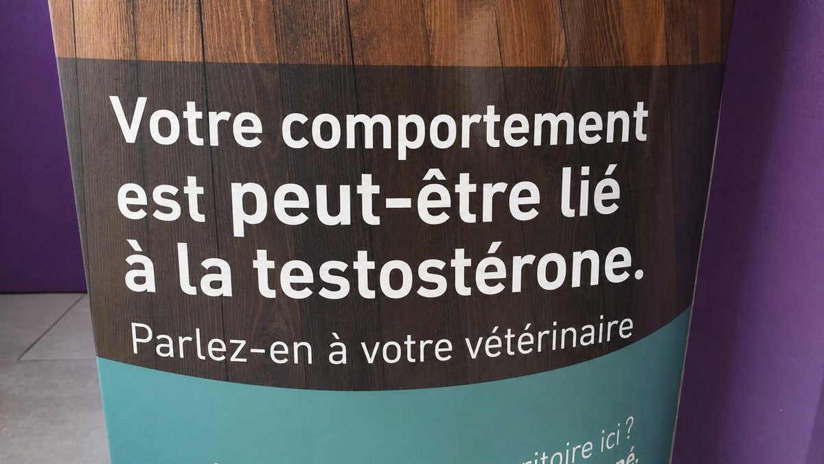 David_R78's tweet photo. @moreiraantonin1 @F_Desouche @Valeurs https://t.co/JOcSw09dkd