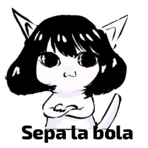 THE CHAMO YT tweet media