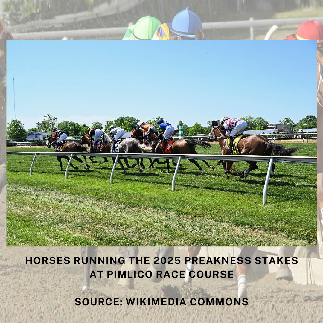 ARM_Mid_America's tweet photo. Tomorrow is #ThePreakness, one of the biggest moments in horse racing 🏇🏻🏇🏻
.
Swipe to see some highlights from the history of this important part of the #TripleCrown 🏆
.
Sources: National Today + Wikimedia Commons 🐎
.
#horseracing #USracing https://t.co/kUjkmsUeIH