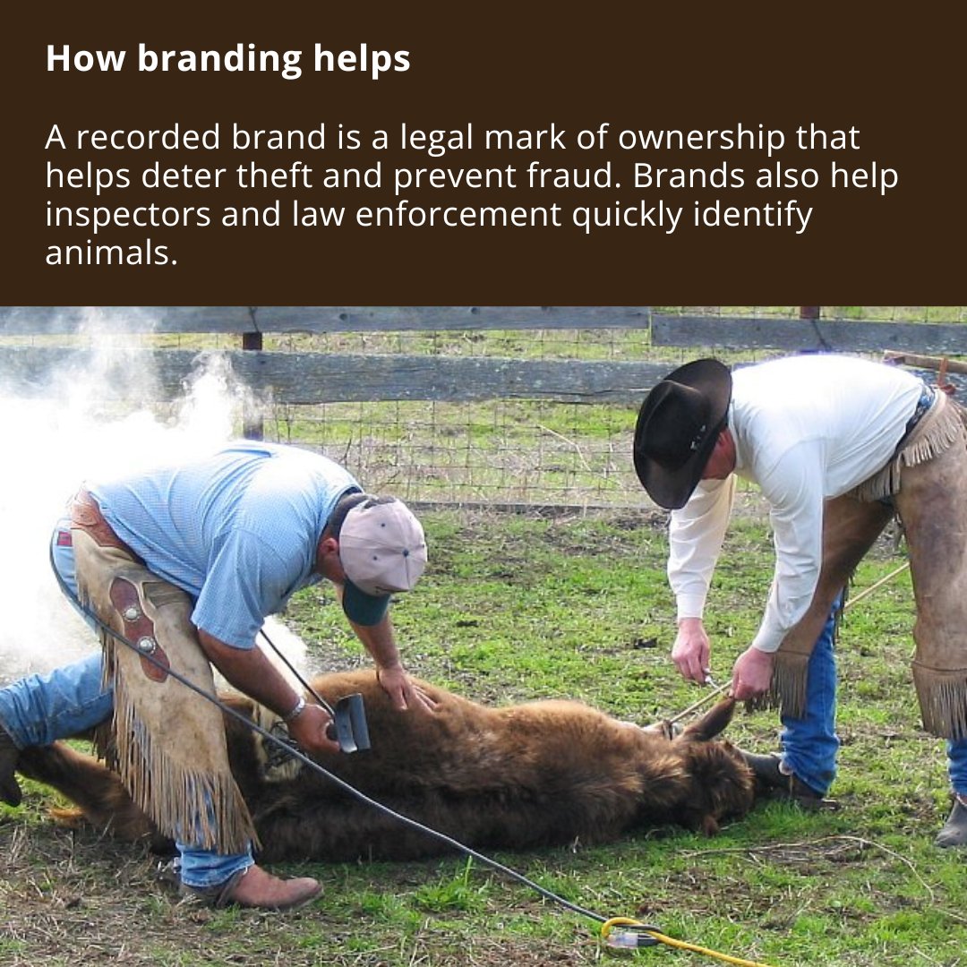 Washington State Department of Agriculture tweet media