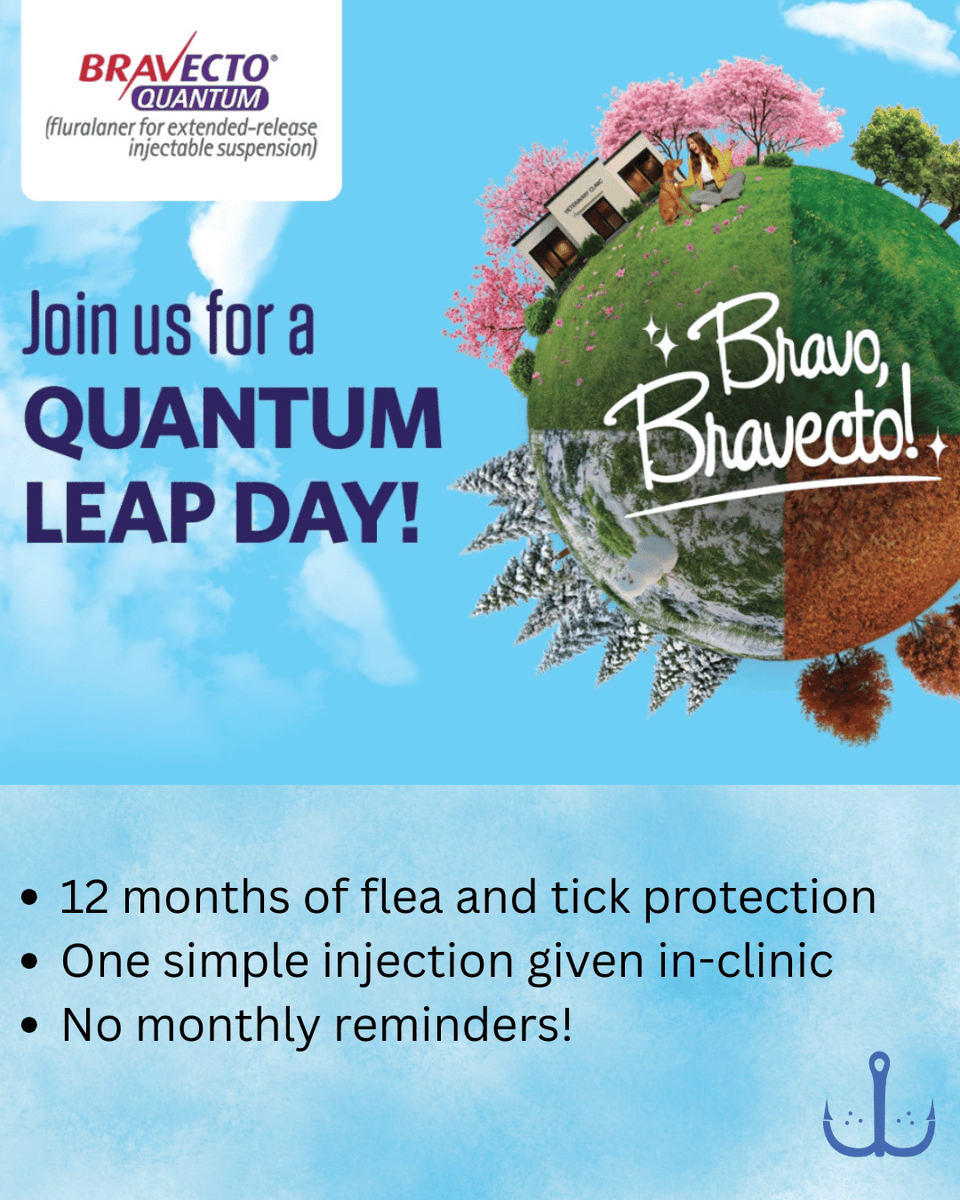 ferryveterinary's tweet photo. Is it ruff to remember to give your flea prevention? Ask us about a year-long injection that can protect your four-legged family all year from fleas and ticks! 843-471-1711 https://t.co/xCeKKYSLY7