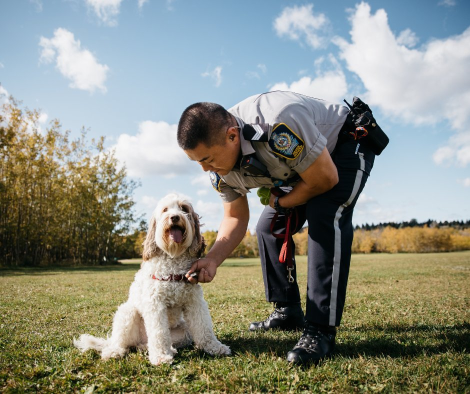 City of Edmonton tweet media