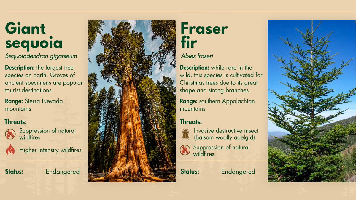 State Foresters tweet media