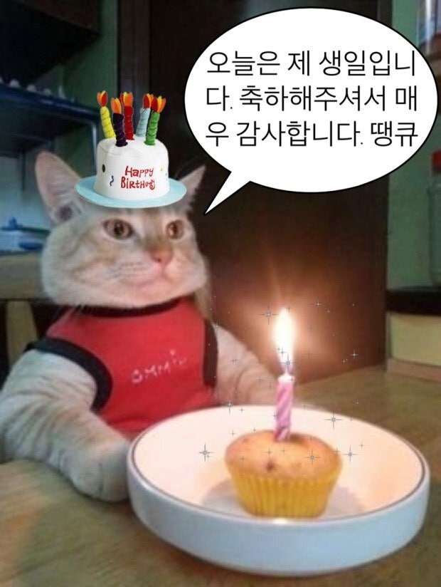 전이만갑오개혁 tweet media