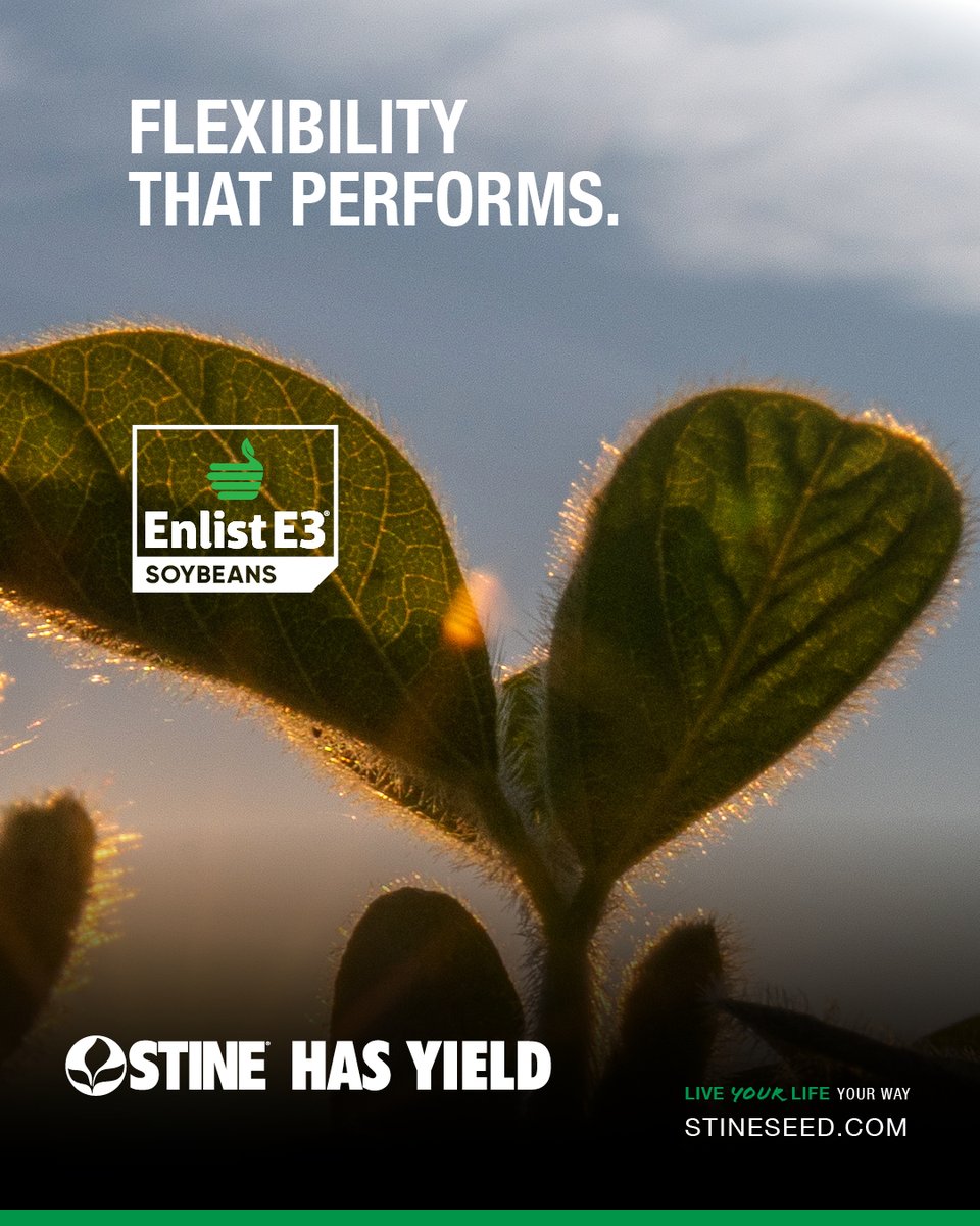 StineSeed's tweet photo. Today’s weed pressure demands flexibility that performs.

Stine brand Enlist E3 soybeans deliver performance and flexibility designed to help growers stay ahead all season long. https://t.co/ymdaMlRX2J