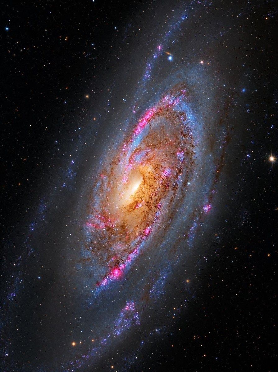 Amazing physics tweet media