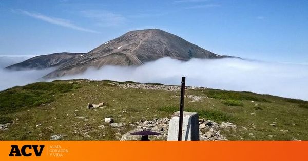 Guías de España tweet media