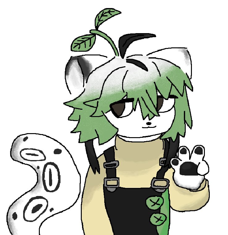 meow medic tweet media
