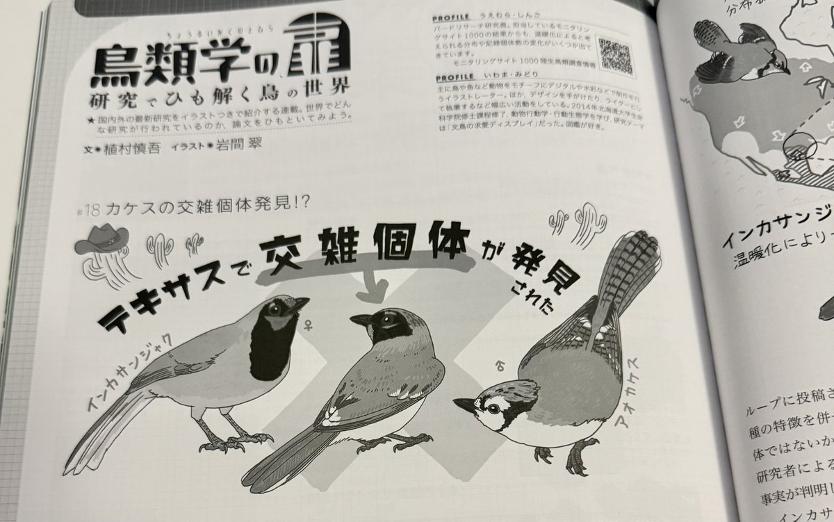 birder