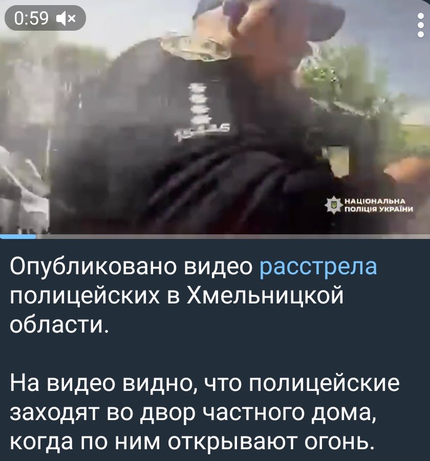 Pa4vara tweet media