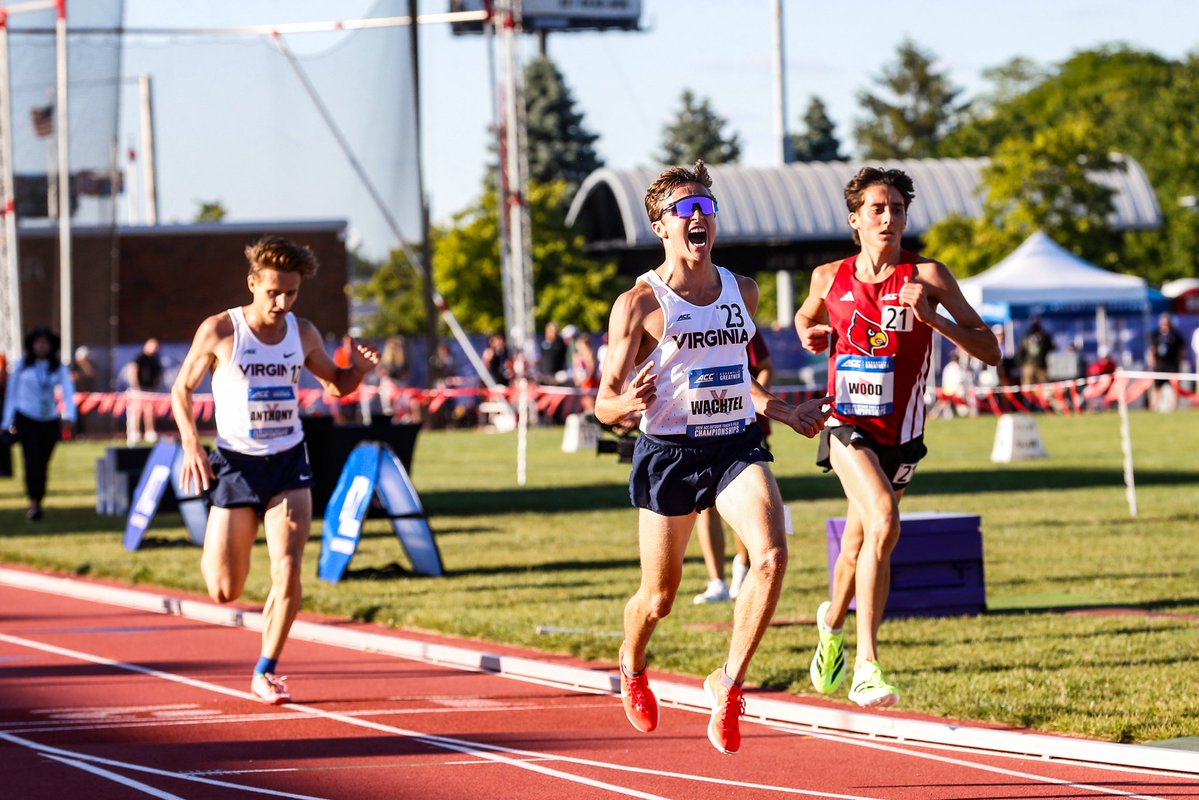 UVATFCC's tweet photo. ✨ 𝒜𝓊𝓇𝒶✨

#GoHoos https://t.co/8kibtbpSFZ