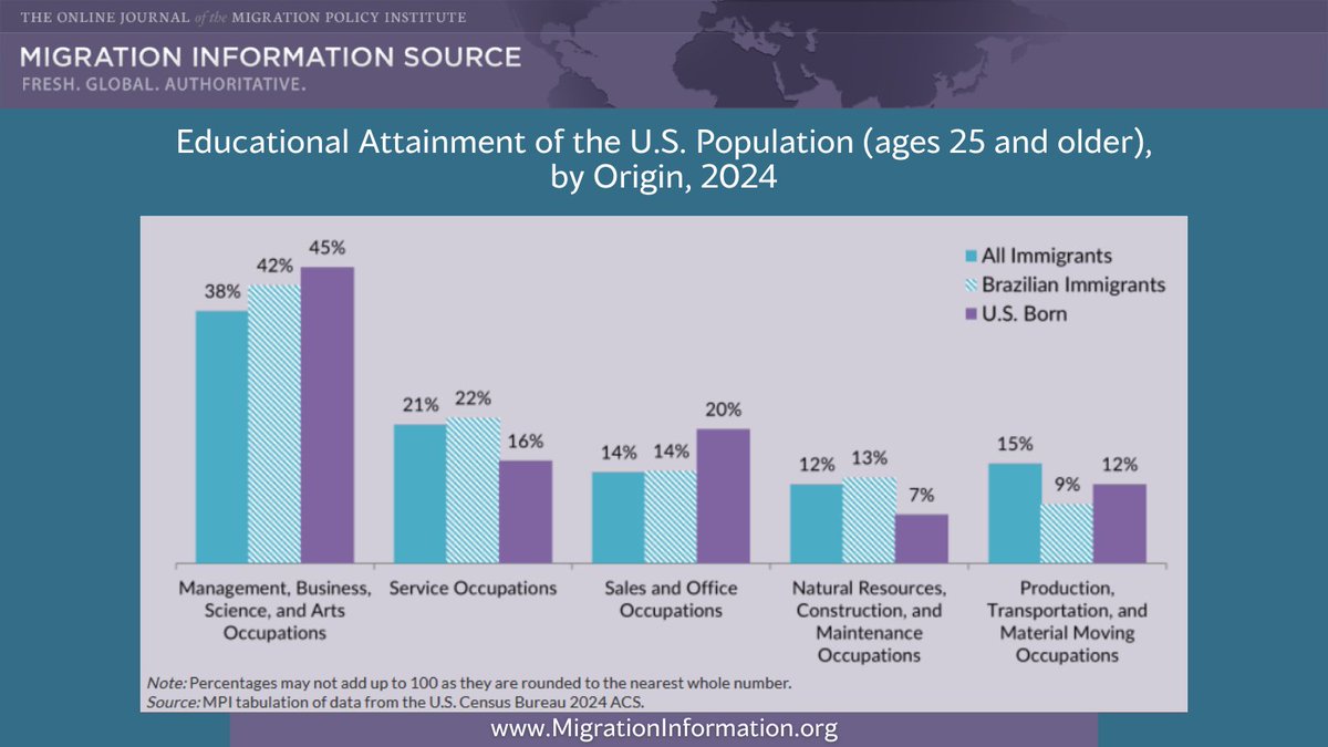 MigrationPolicy Inst tweet media