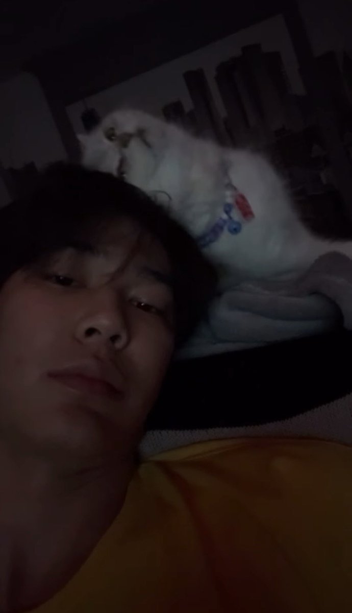 ดั้นเมฆ🐰☁️ tweet media