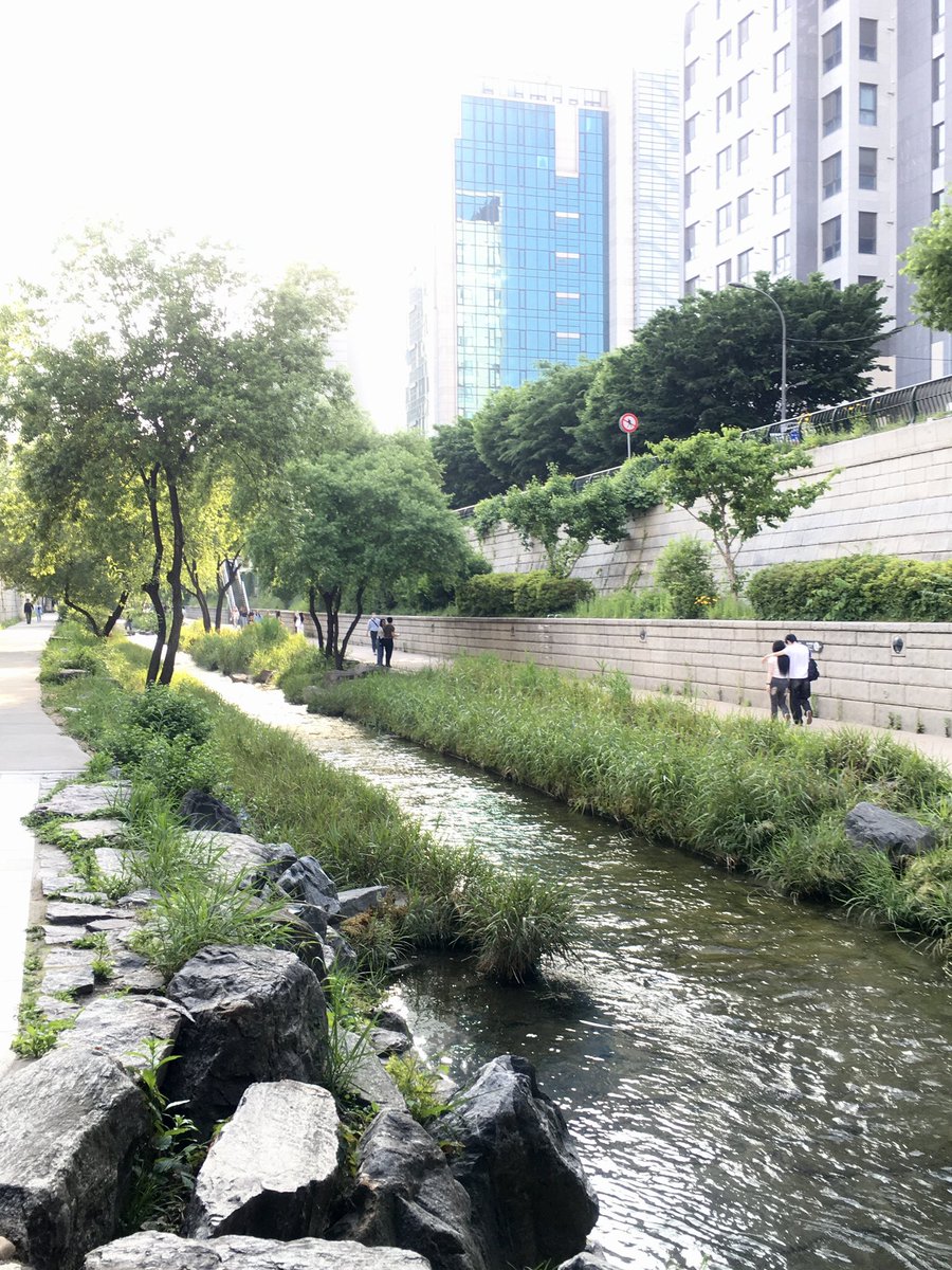 ifyzai's tweet photo. 청계천 그리구 타코🫪 https://t.co/Ylhxb5YPCm