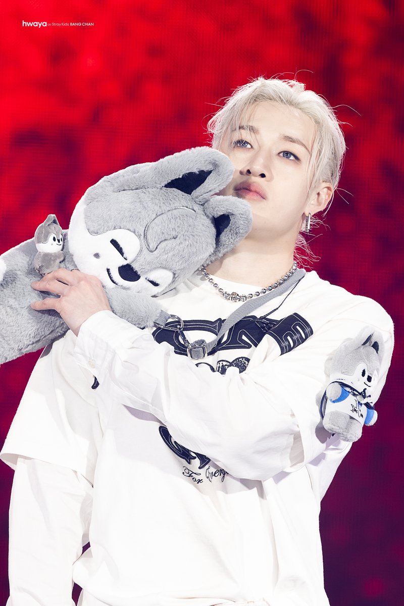 hwaya ∞🐺 tweet media