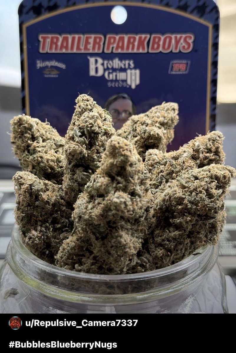 BrothersGrimmSeeds tweet media