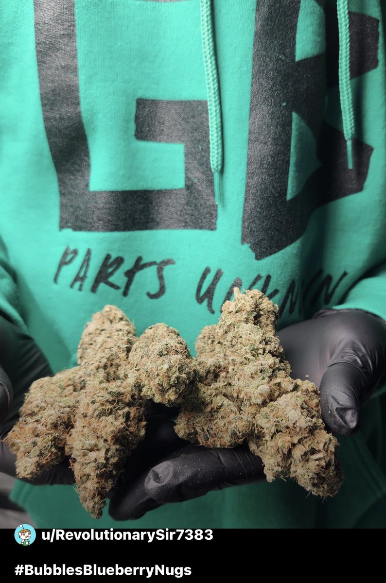 BrothersGrimmSeeds tweet media