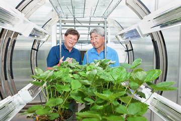 Agricultural Research Service tweet media