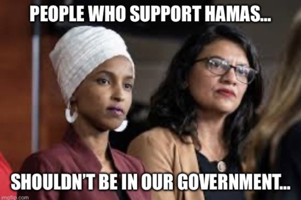 LexiMurica's tweet photo. @Ilhan @RepRashida https://t.co/3wuJPYrEO9