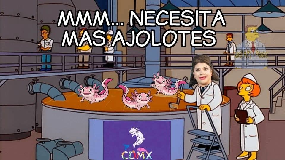 Polo para los cuates tweet media