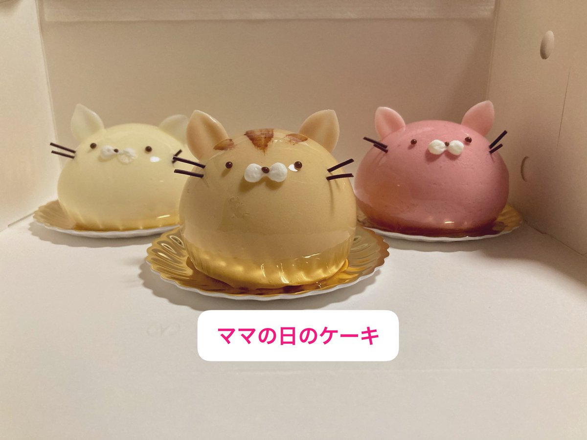 _nk666's tweet photo. 改めてありがとうございました🖤RP
しかしなんでうちの男達はみんなこぞって
ポーズがオリジナリティ溢れてるんでしょう…
だから好きなのよ( ˘ω˘ 🫶🏻)笑
たまにはわたしの日常でも載せましょうね。
超生きてるいずみを感じてください/•᷅•᷄\୭ https://t.co/LZWWZqZo00