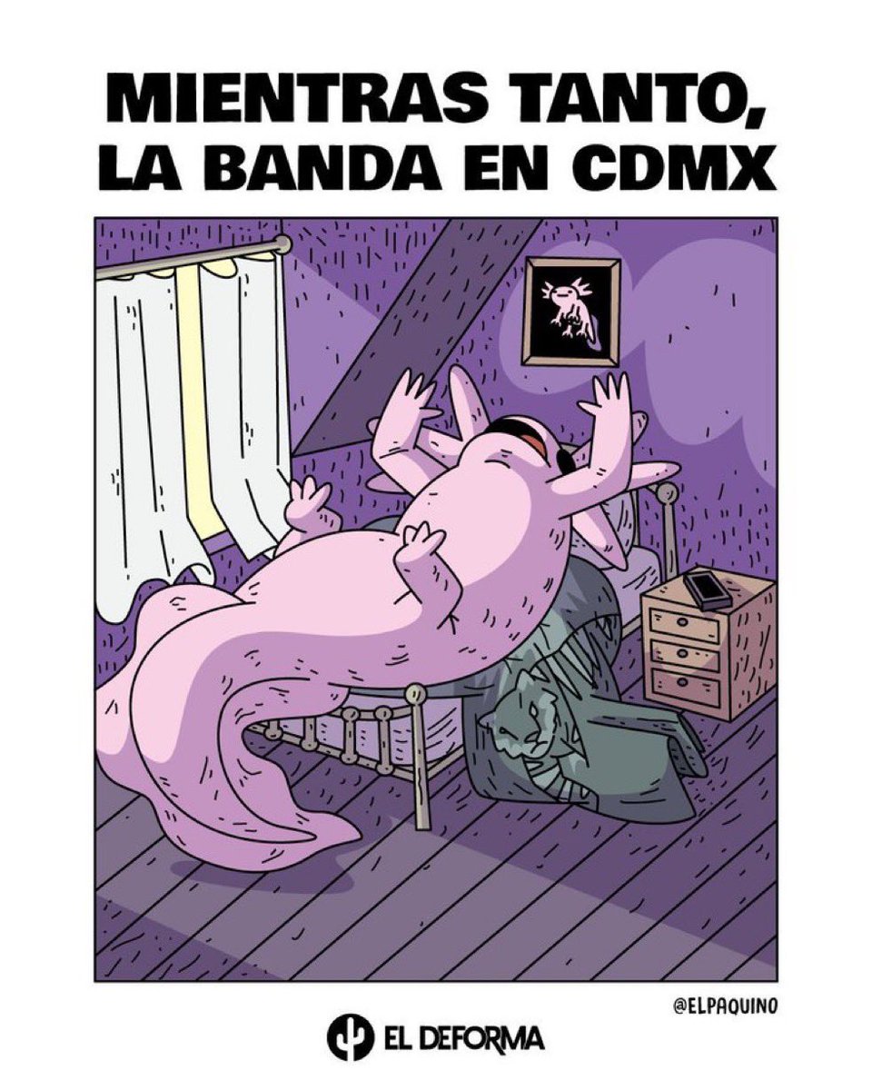 jaalesac's tweet photo. @FreddyOliviery @AlessandraRdlv No es que tú tía @ClaraBrugadaM lo esté haciendo mejor https://t.co/oADELaMmNb