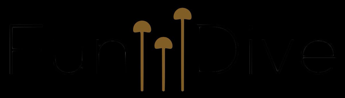 BritMycolSoc's tweet photo. FunDive is a pan-European project that aims to raise awareness of fungi as crucial components of ecosystems, and encourage the generation of data to promote fungal conservation.➡️ Read more about @FunDive_fungi in the BMS's #FieldMycology journal: https://t.co/qyLCEaYDsA https://t.co/LubqGHylsA