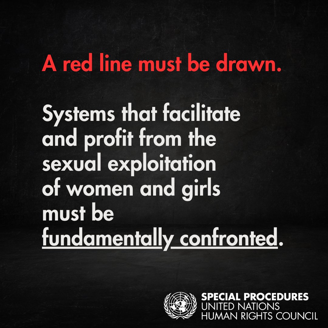 UN Special Procedures tweet media
