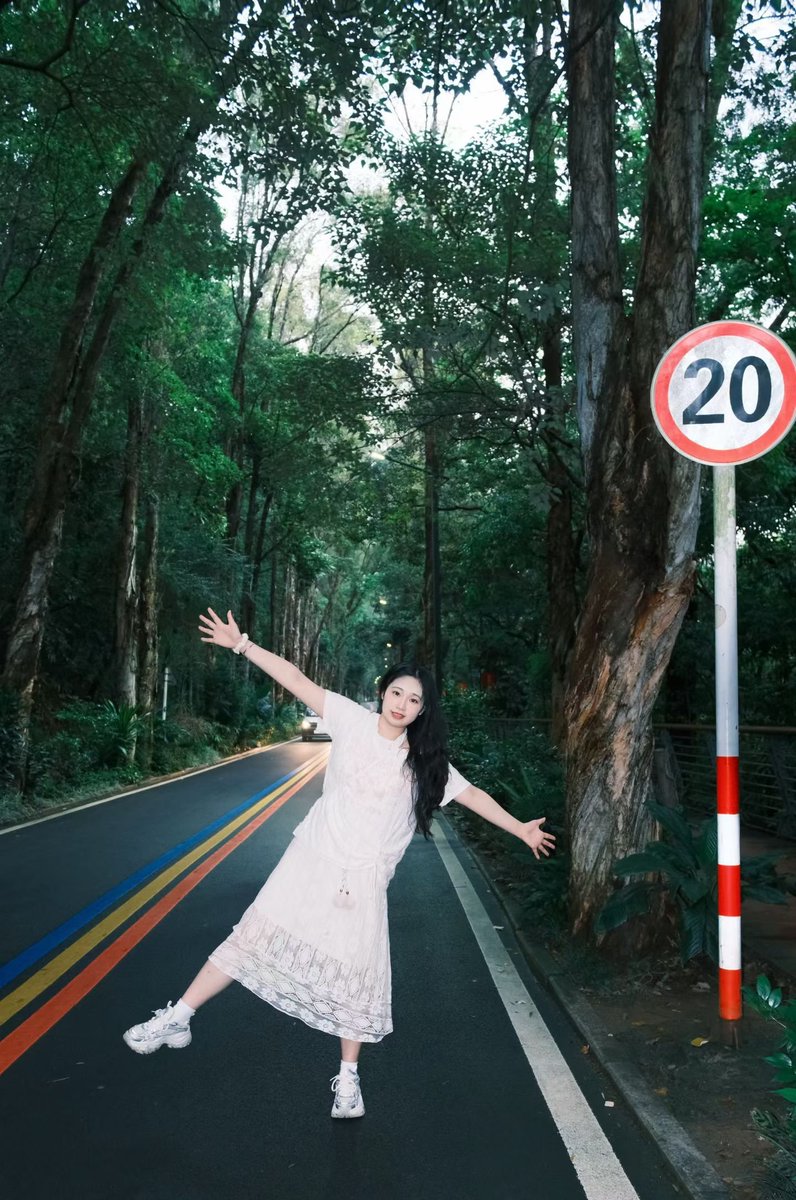 stephkeron's tweet photo. 森呼吸  #student    #Forest https://t.co/RGdcn4d203