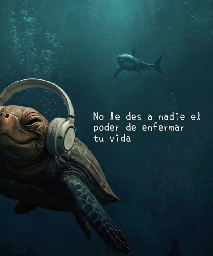 Enséñame de Ciencia tweet media