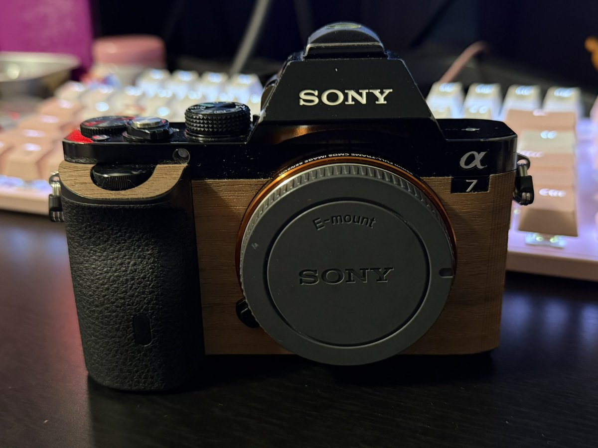 SONY機はシャッター回数すぐ出せるのが良い✨️
