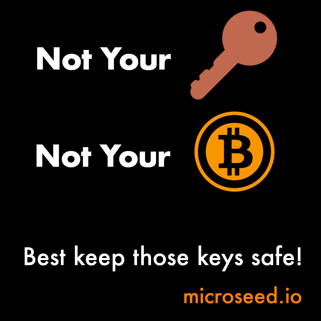 MicroSeed.io tweet media