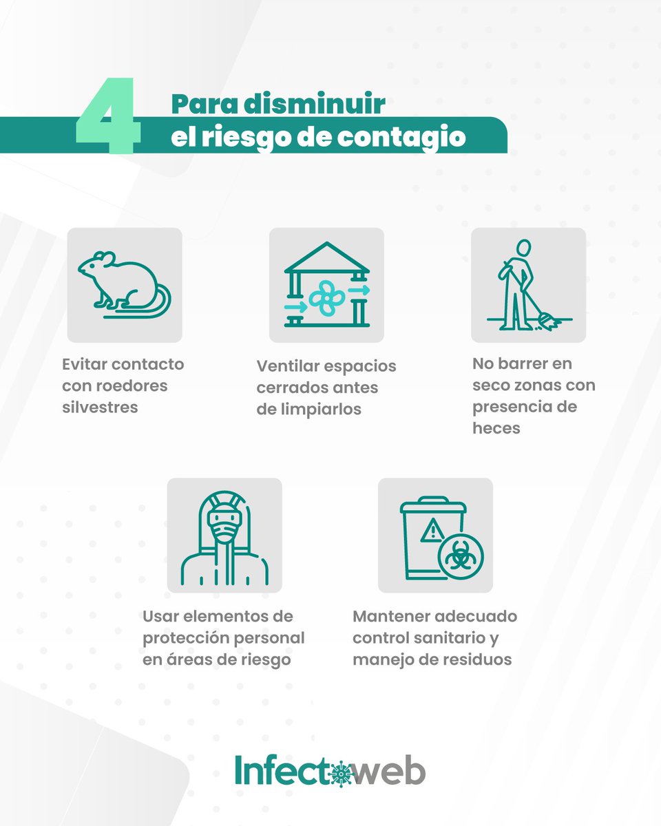 InfectoWeb's tweet photo. Hablemos del #Hantavirus... es una enfermedad viral conocida desde hace décadas y con más de 30 variantes identificadas según la región geográfica.

El Hantavirus tipo Andes, detectado en Chile y Argentina, es el único con transmisión de persona a persona documentada.️ Sin embargo, requiere contacto estrecho y prolongado.

Hasta el momento, esta cepa no se ha identificado en #Colombia.

Te contamos cómo se transmite, síntomas de alerta y las medidas de cuidado que todo profesional de la salud debe tener presentes.

Cuéntanos ¿qué dudas tienes sobre este virus?