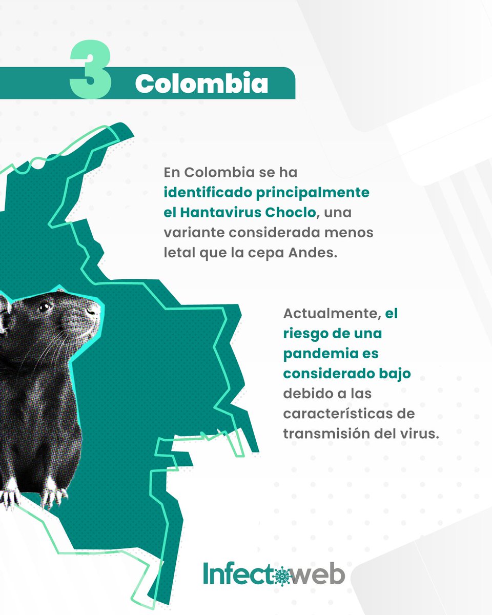 InfectoWeb's tweet photo. Hablemos del #Hantavirus... es una enfermedad viral conocida desde hace décadas y con más de 30 variantes identificadas según la región geográfica.

El Hantavirus tipo Andes, detectado en Chile y Argentina, es el único con transmisión de persona a persona documentada.️ Sin embargo, requiere contacto estrecho y prolongado.

Hasta el momento, esta cepa no se ha identificado en #Colombia.

Te contamos cómo se transmite, síntomas de alerta y las medidas de cuidado que todo profesional de la salud debe tener presentes.

Cuéntanos ¿qué dudas tienes sobre este virus?
