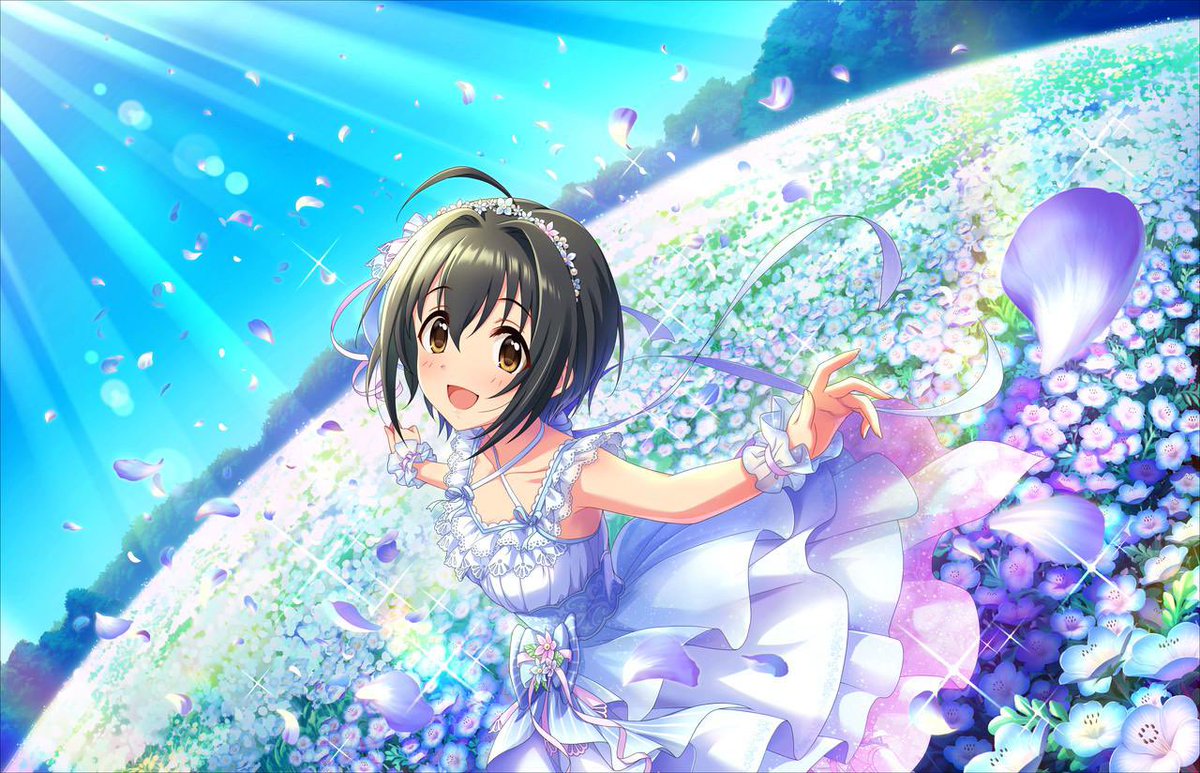 よ～だ🧸🧚🏻‍♀️🏺 tweet media