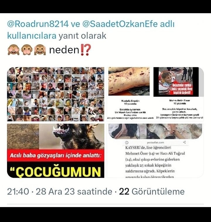 Sarachesarasara's tweet photo. @kuslukvaktioldu @TanyeriMustafa @kocovali08 Aşağıda ki paylaşımım nedeniyle saadet hanim engelledi.
Ona göre çocuklarımızın #kuduz  nedeniyle yada köpekler tarafindan parcalanmasi sorun degil.

#HamzayıKöpekYedi
#EslemiKöpekYedi
#Tunahanikopekyedi
#ranaelselciyikopekyedi
#murattutar 
#metedurna
#MustafaErçetin https://t.co/uXDNagMAOh