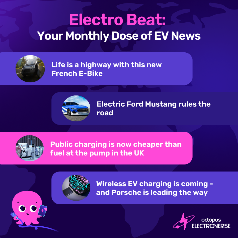 Octopus Electroverse ⚡️ tweet media
