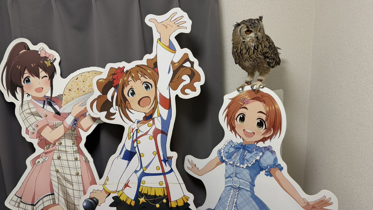 あけち tweet media