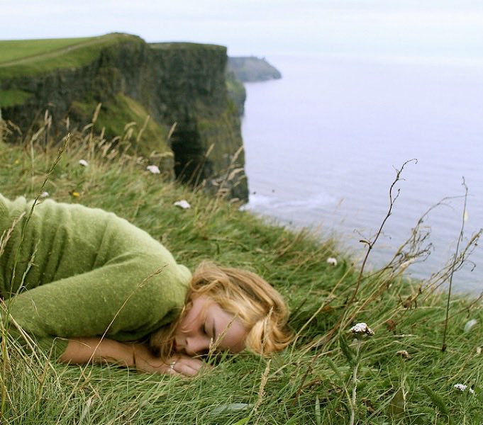 Wild at Heart tweet media