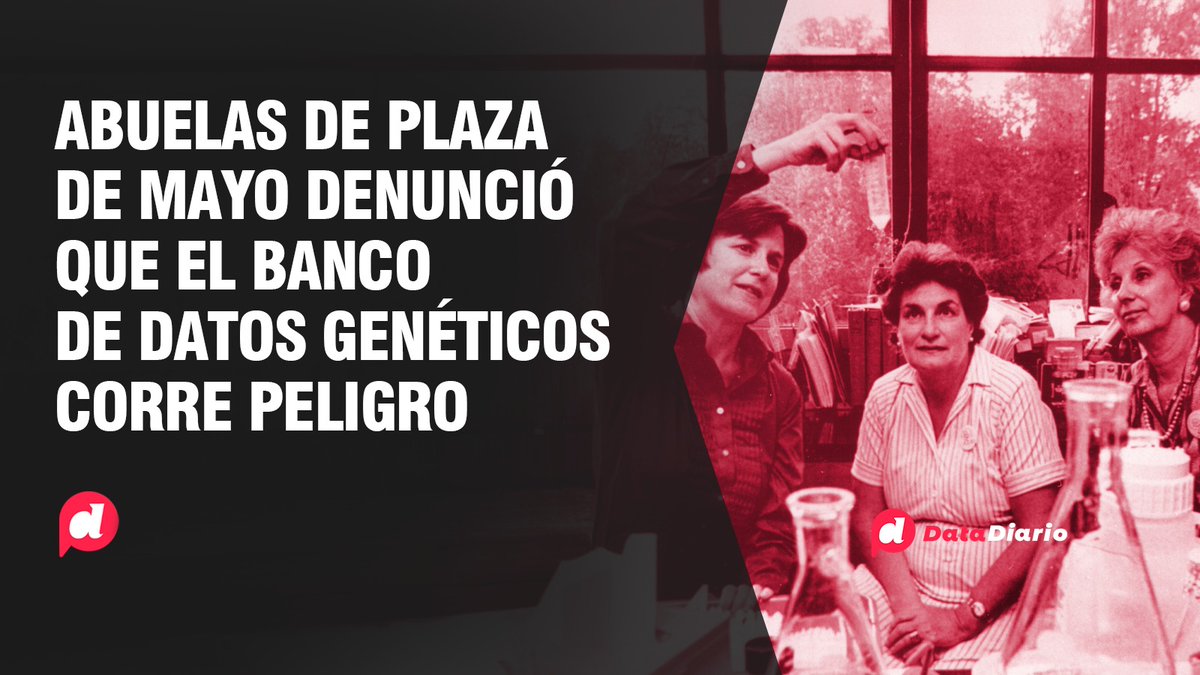 Data Diario tweet media