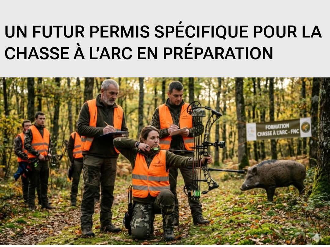 Adea Claude tweet media