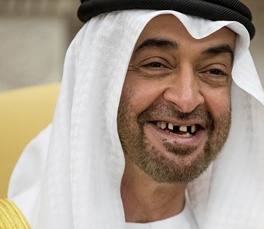الإمارات تحت المجهر tweet media