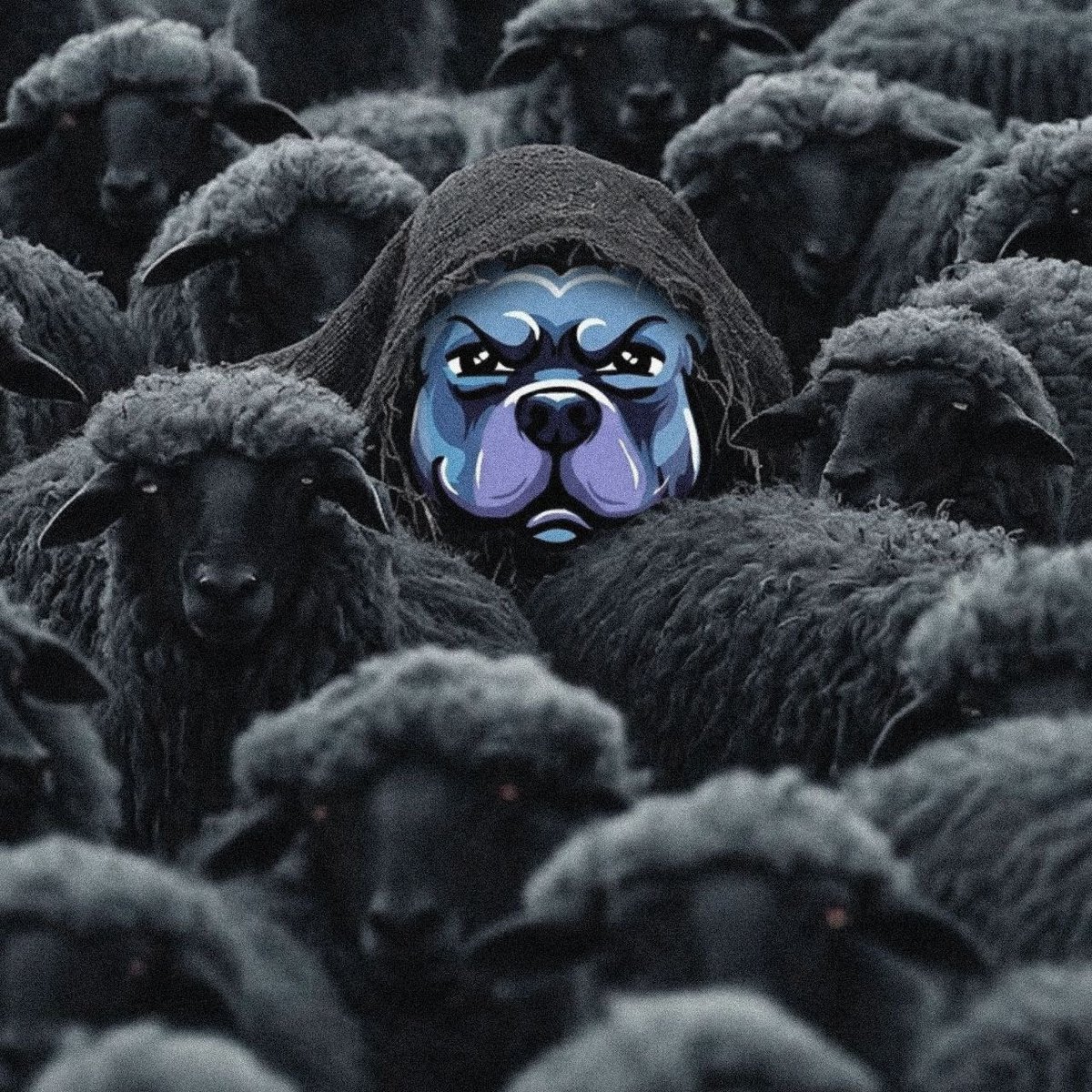 doginme tweet media