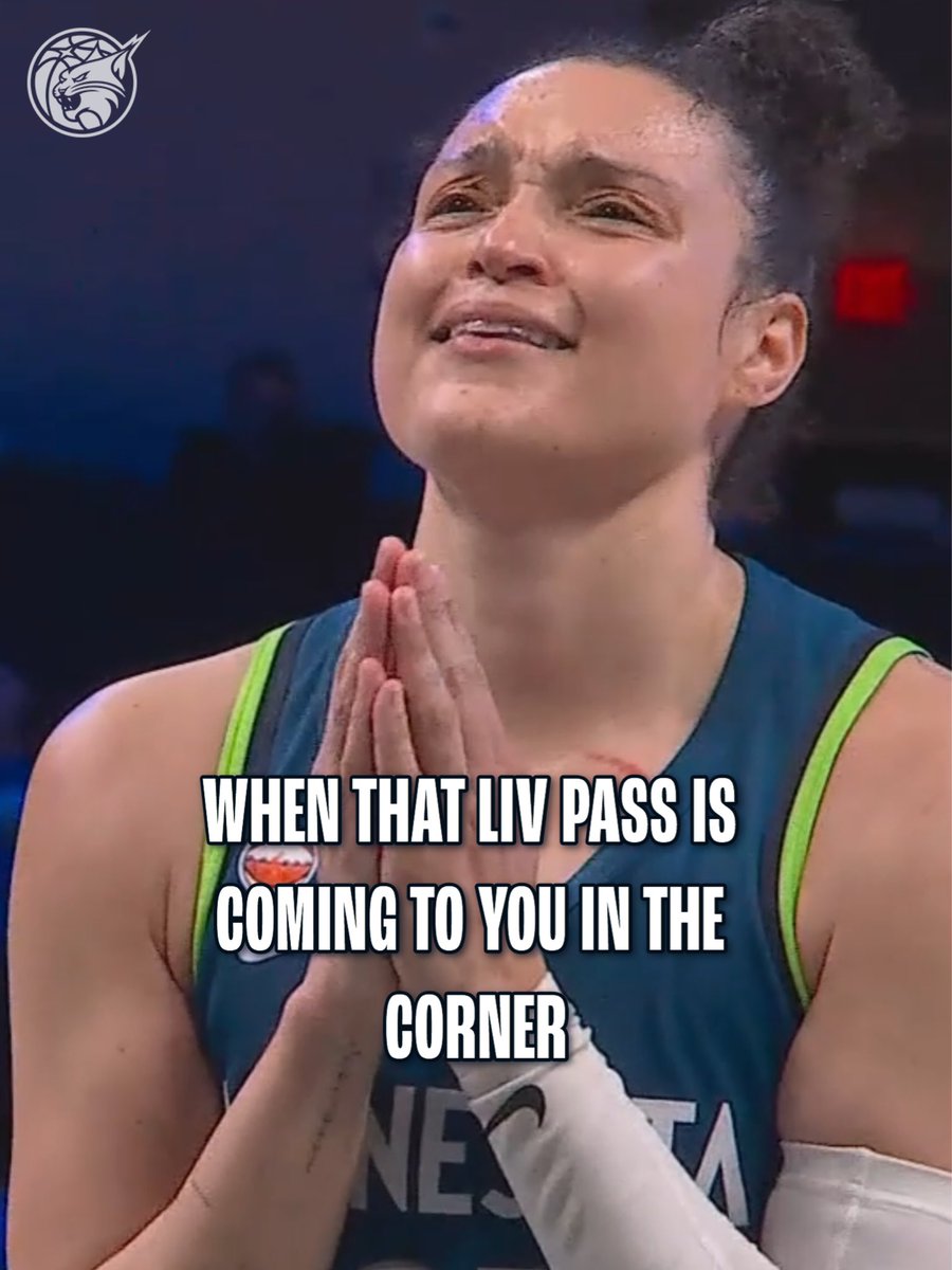 Minnesota Lynx tweet media