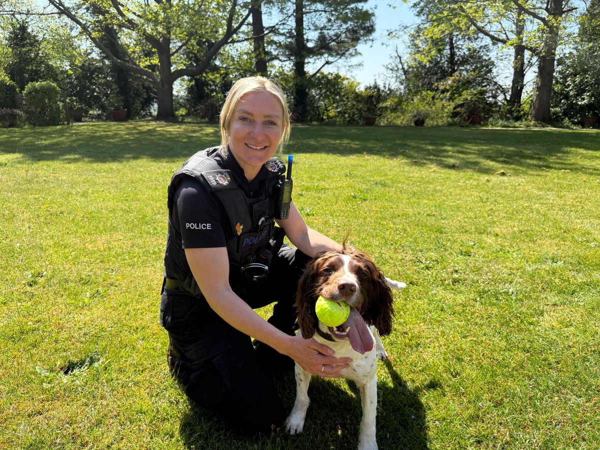 SurreyPCC's tweet photo. 🐕 Dog handler, PC Lucy Lucking, and explosives detection dog, Kika, accepted 200 used tennis balls on behalf of the Surrey and Sussex dog school.

Thank you for the kind donation that came via ‘Music to my Ears’ - one of the services funded by Commissioner, @_Lisa_Townsend. https://t.co/UEVUKUIPwl