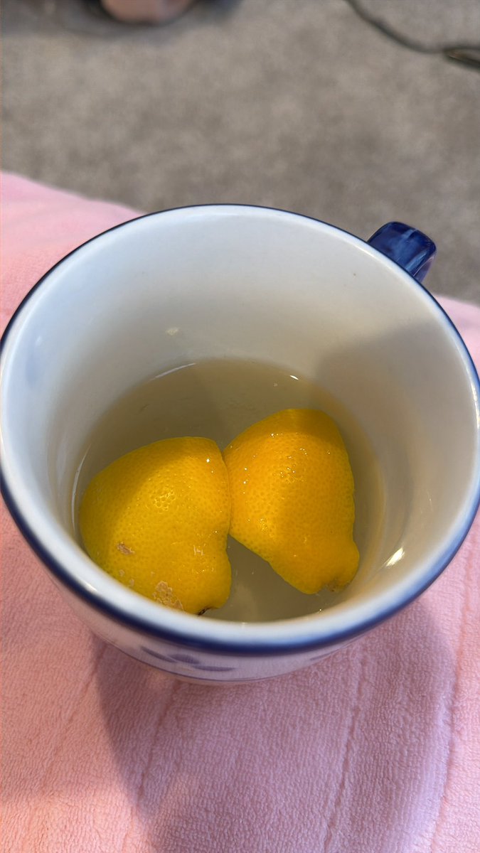 Vandetta0302's tweet photo. Hot water and lemon for breakfast :3 https://t.co/rGXnCYJ52j